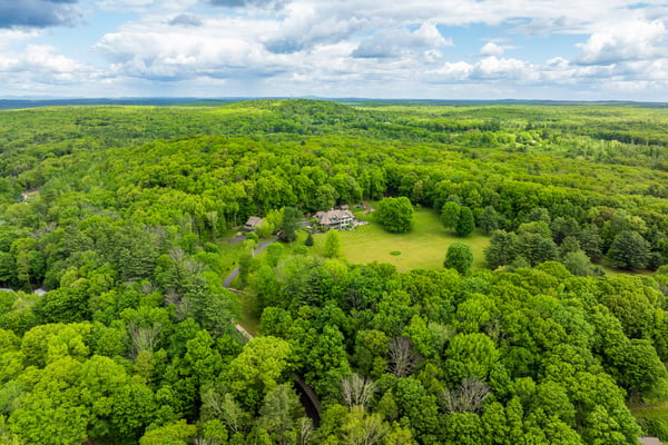 Discover this expansive estate nestled in lush greenery, offering unparalleled privacy and stunning natural vistas.