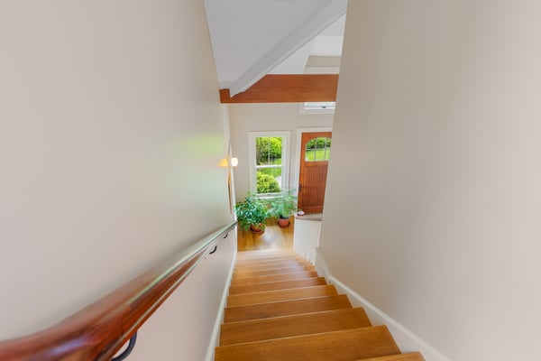 Inviting second-floor staircase leading to a bright space filled with natural light and greenery.