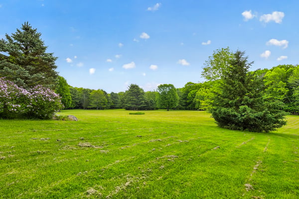 Expansive, lush green landscape offers endless possibilities for outdoor activities and potential development.