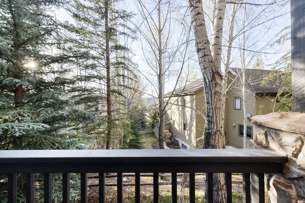 161 Remington Trail, Edwards, CO