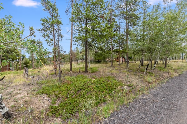 10444 Crystal Drive, Morrison, CO