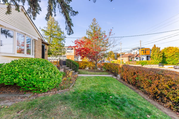 227 Ava Rd, York, ON