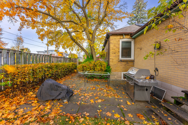 227 Ava Rd, York, ON
