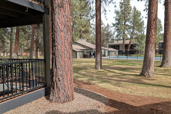 View from the Main Level Corner Unit with Covered Fenced Deck