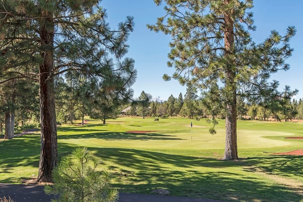 16863 Royal Coachman Drive, Sisters, OR