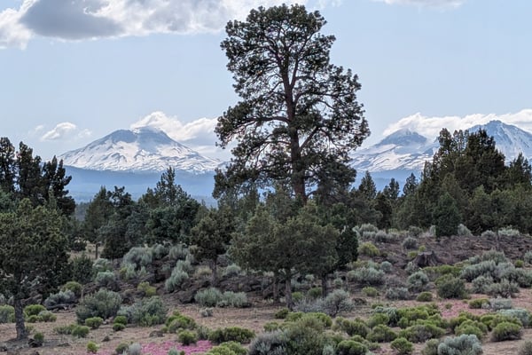 17740 Ox Spur Ct, Bend, OR