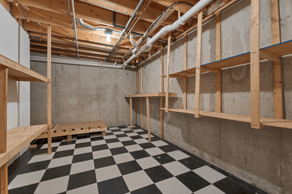 Storage in Basement