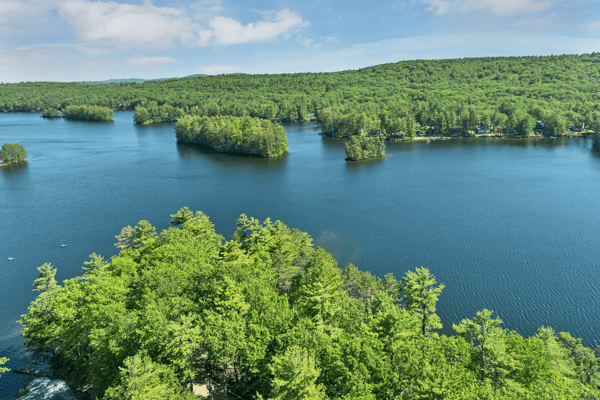Overhead View of Pine River Pond- Clean & Private!