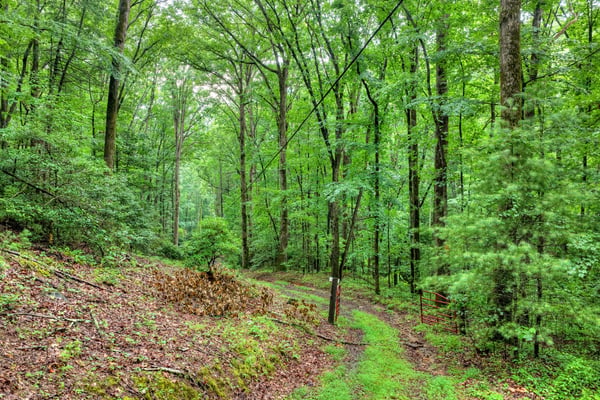 1138 Douglas Mountain Trail, Ellijay, GA