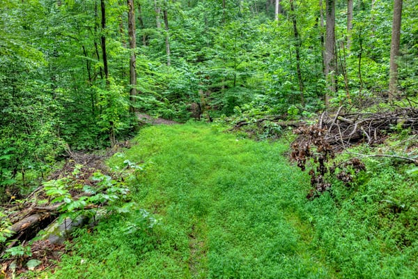 1138 Douglas Mountain Trail, Ellijay, GA