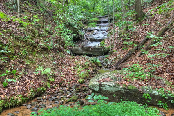 1138 Douglas Mountain Trail, Ellijay, GA