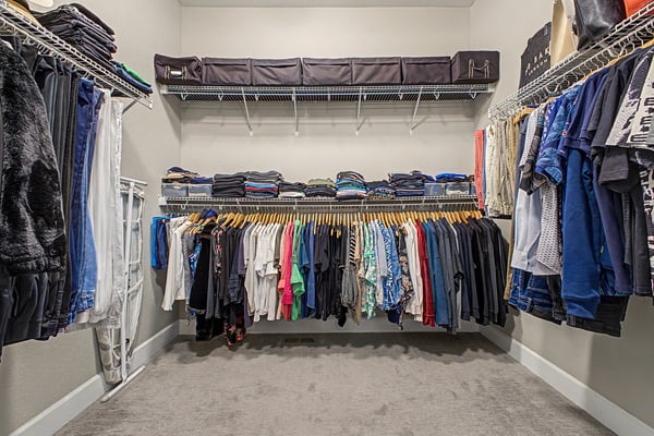 Spacious walk-in closet featuring ample shelving and organized hanging space for an extensive wardrobe.