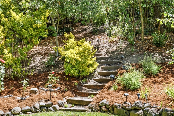 507 Raven Place, Clayton, CA