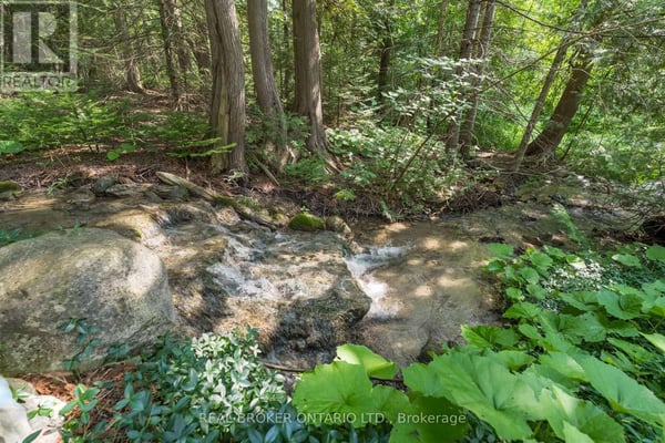 30725 HOCKLEY ROAD, Mono, ON