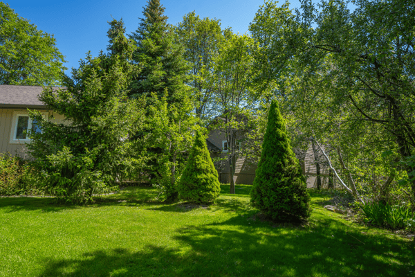 1395 Northridge Drive, Mount Shasta, CA
