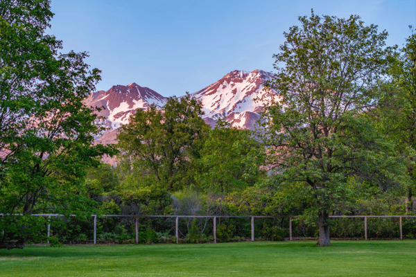 1395 Northridge Drive, Mount Shasta, CA