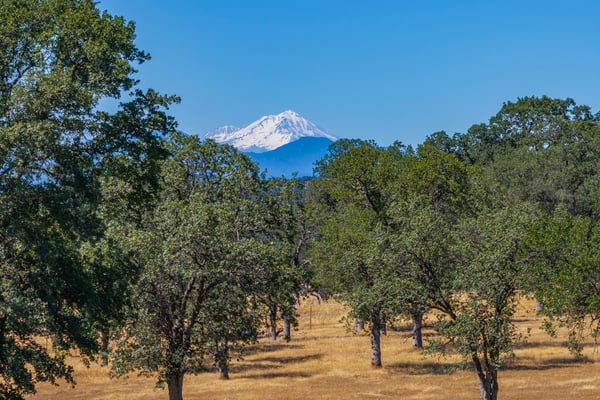 4905 Parkville Road, Anderson, CA