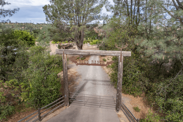 15170 China Rapids Drive, Red Bluff, CA