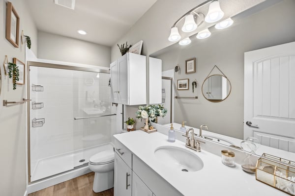 Basement Bathroom