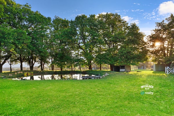 Expansive green space features a tranquil pond, surrounded by mature trees, perfect for outdoor gatherings.
