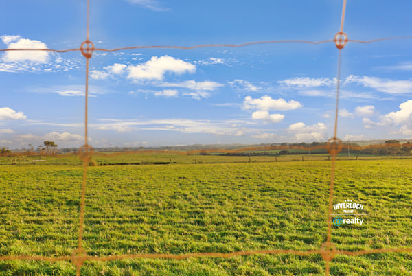 Expansive green fields under a bright sky, ideal for agricultural development or recreational living.