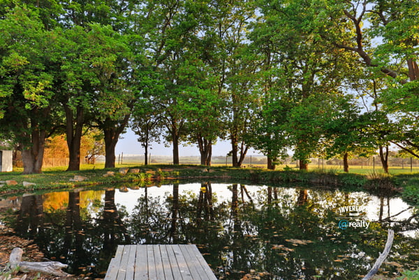Scenic property featuring a tranquil pond surrounded by mature trees and vibrant greenery. Perfect for outdoor enthusiasts.