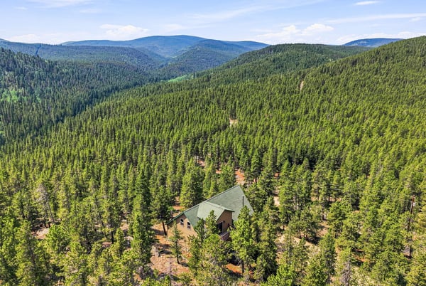 1301 Upper Moon Gulch, Rollinsville, CO