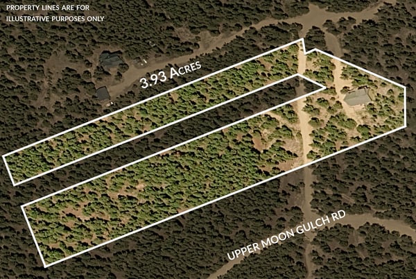 1301 Upper Moon Gulch, Rollinsville, CO