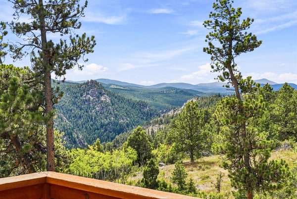 3612 Ridge Rd, Nederland, CO