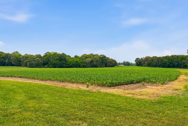 1421 Old Highway 74, Marshville, NC