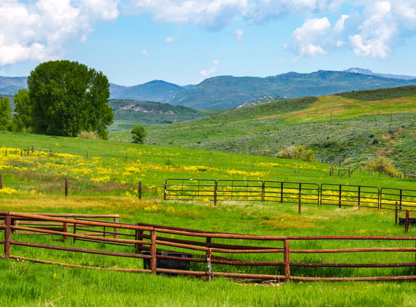 32080 Mack Lane, Oak Creek, CO 80467, Oak Creek, CO
