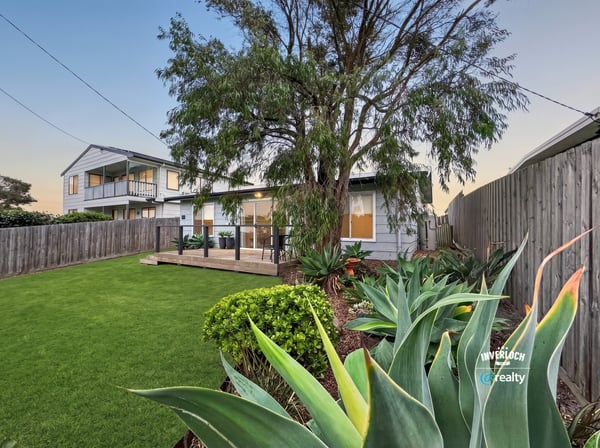 Spacious backyard with lush greenery, perfect for outdoor gatherings and relaxation near a modern home.