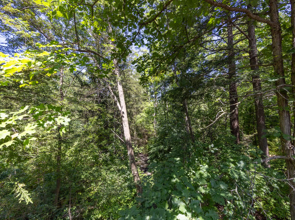 78 Birch Avenue, Richmond Hill, ON