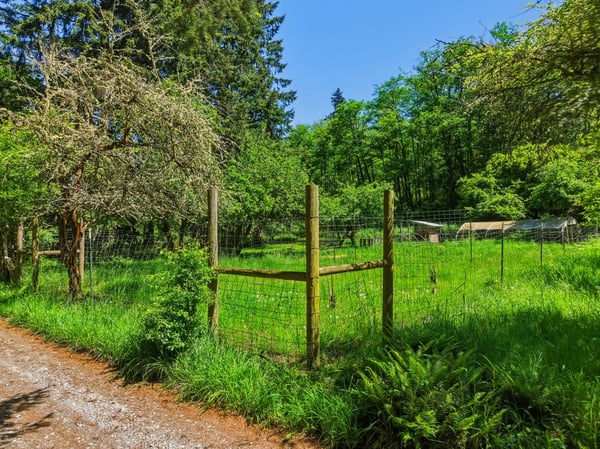 3511 Quade Road, Clinton, WA