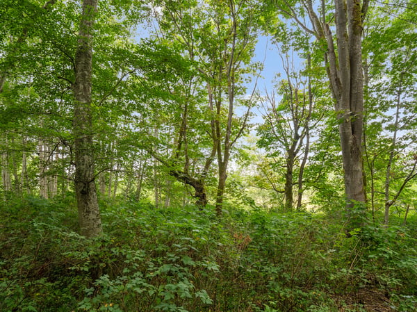 3327 Burley Road, Clinton, WA