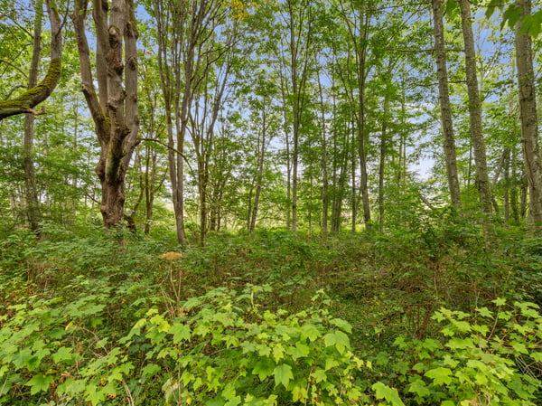 3327 Burley Road, Clinton, WA