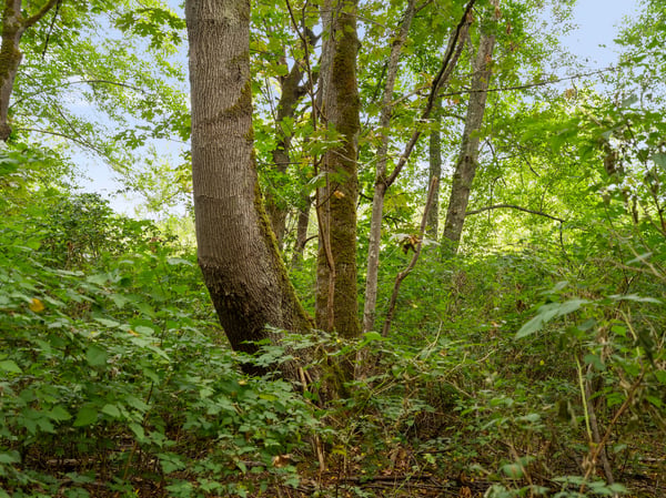 3327 Burley Road, Clinton, WA