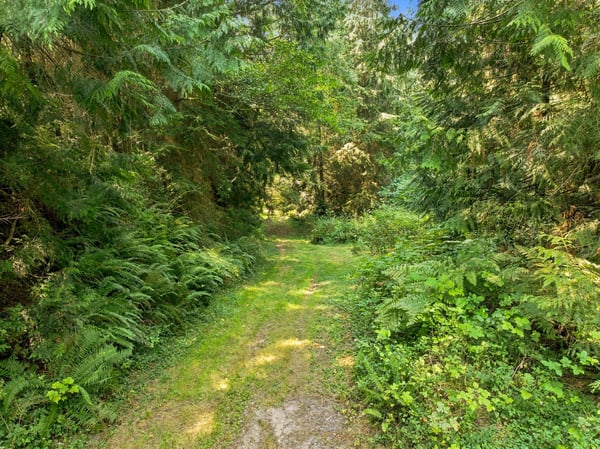 7495 Jewett Road, Clinton, WA