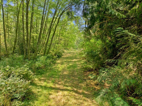 7495 Jewett Road, Clinton, WA