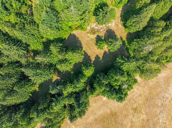 7495 Jewett Road, Clinton, WA