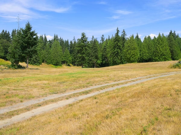 7495 Jewett Road, Clinton, WA