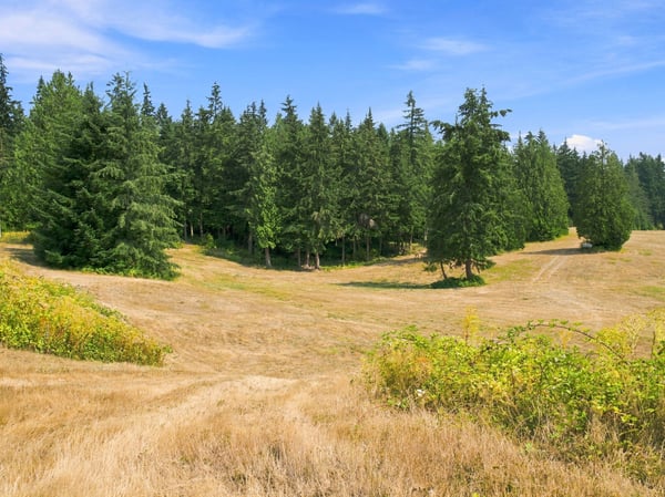 7495 Jewett Road, Clinton, WA