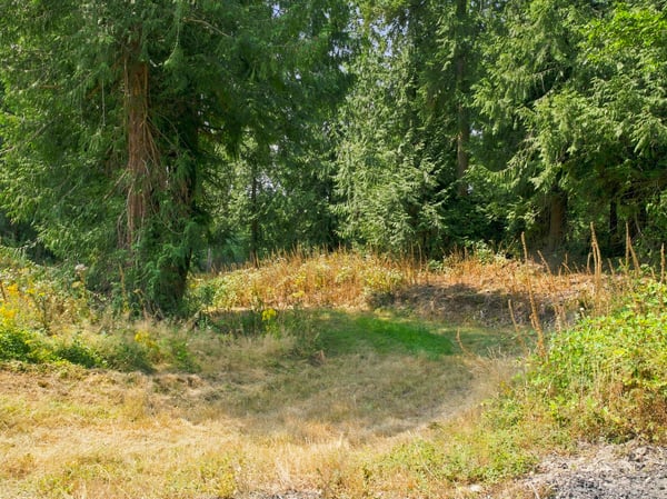7495 Jewett Road, Clinton, WA