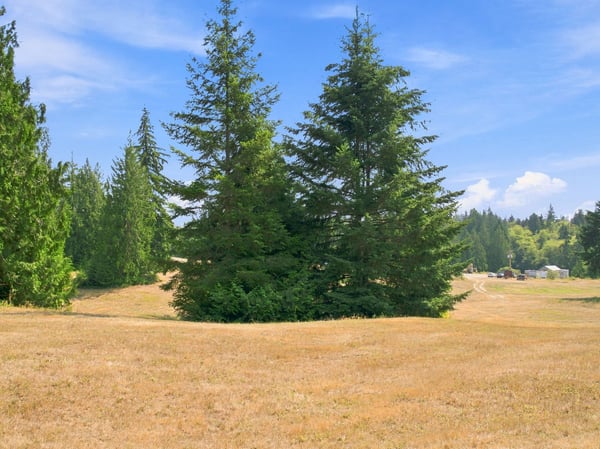 7495 Jewett Road, Clinton, WA