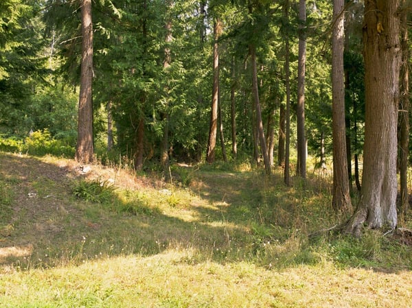 7495 Jewett Road, Clinton, WA