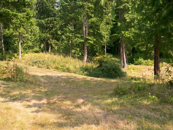 7495 Jewett Road, Clinton, WA