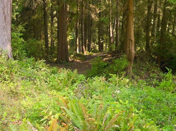 7495 Jewett Road, Clinton, WA