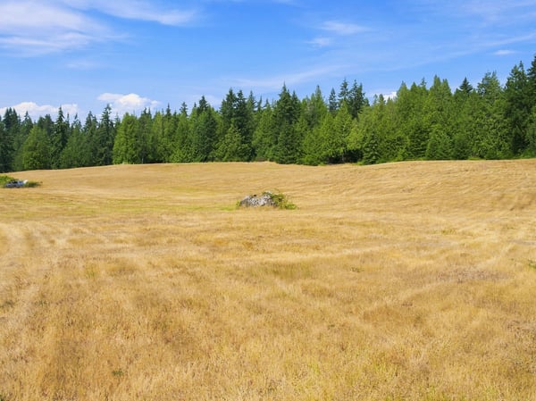 7495 Jewett Road, Clinton, WA