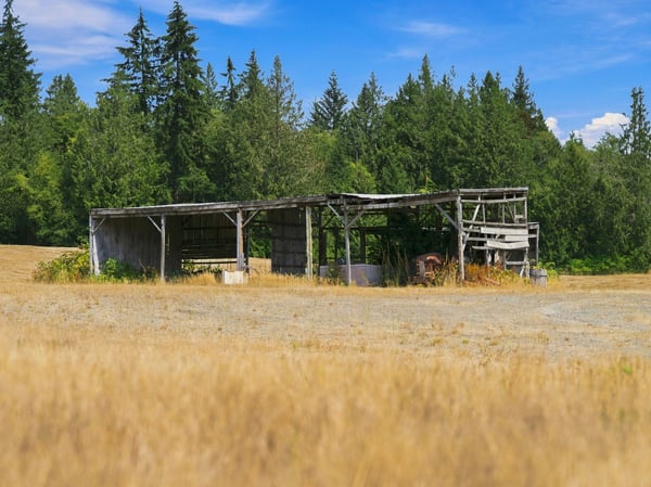 7495 Jewett Road, Clinton, WA