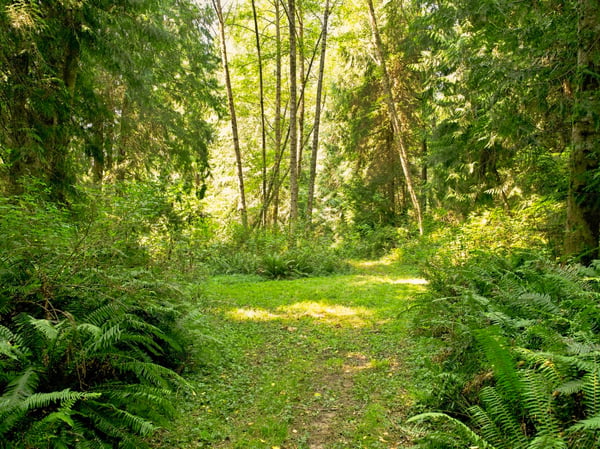 7495 Jewett Road, Clinton, WA